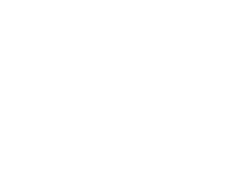 Les Mineurs